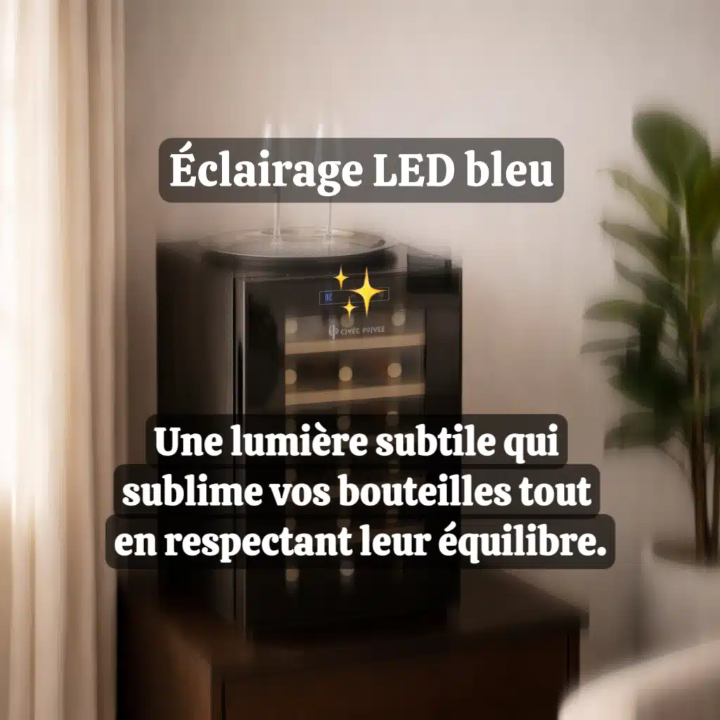 cave à vin 18 bouteilles